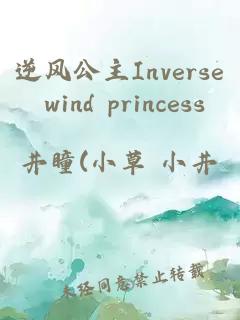逆风公主Inverse wind princess